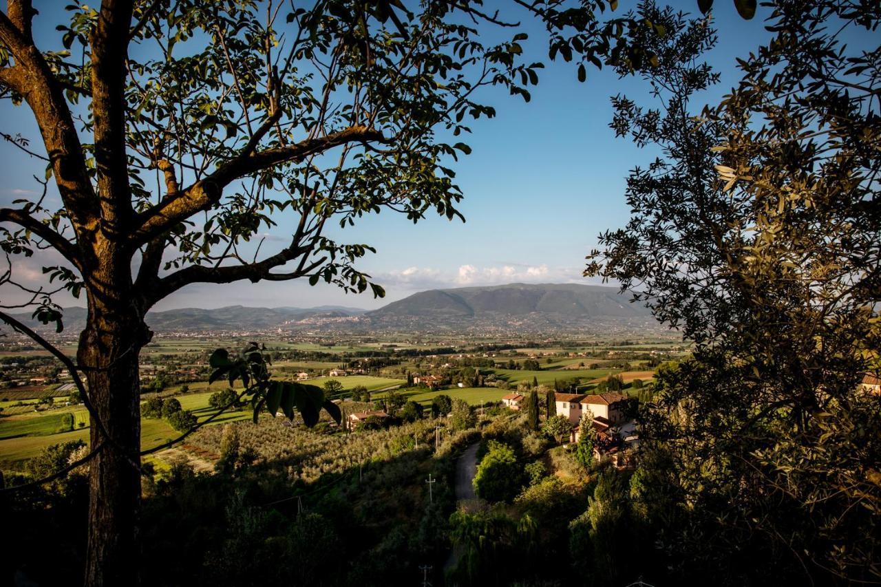 Il Poggio Degli Olivi Villa Bettona Eksteriør bilde