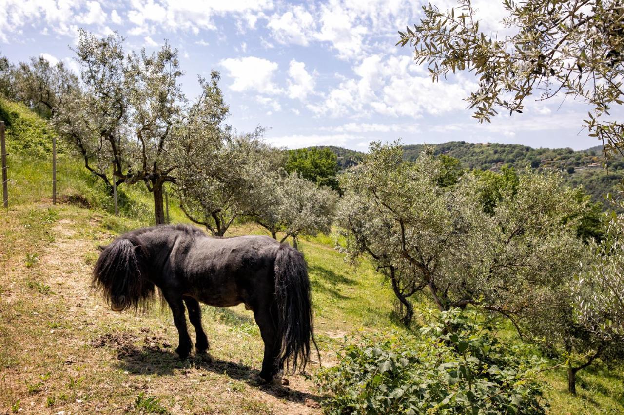 Il Poggio Degli Olivi Villa Bettona Eksteriør bilde